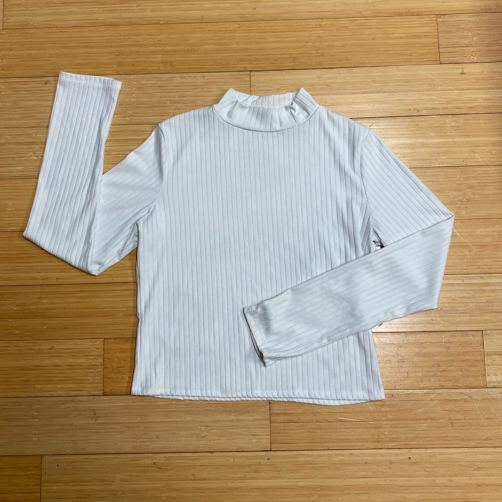 Turtle Neck Long Sleeve Crop Top